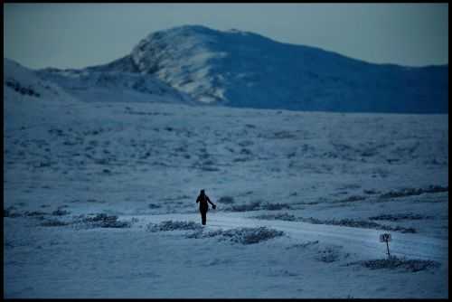 THE POLAR CIRCLE MARATHON | 42K,21K 2015